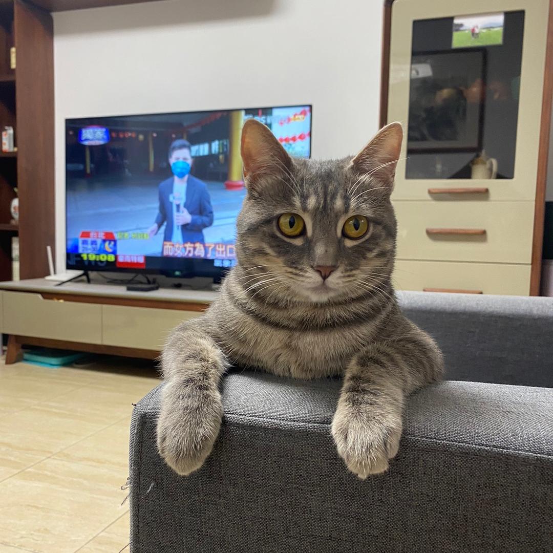 生命之水