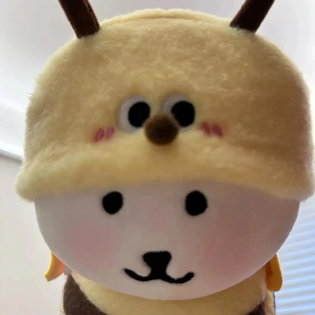 周妞子爱大红薯