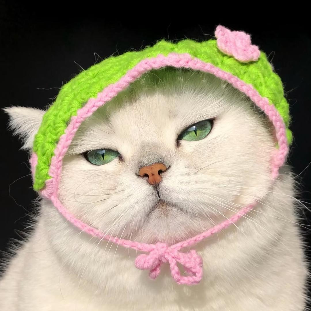 爱吃草莓的小刺猬