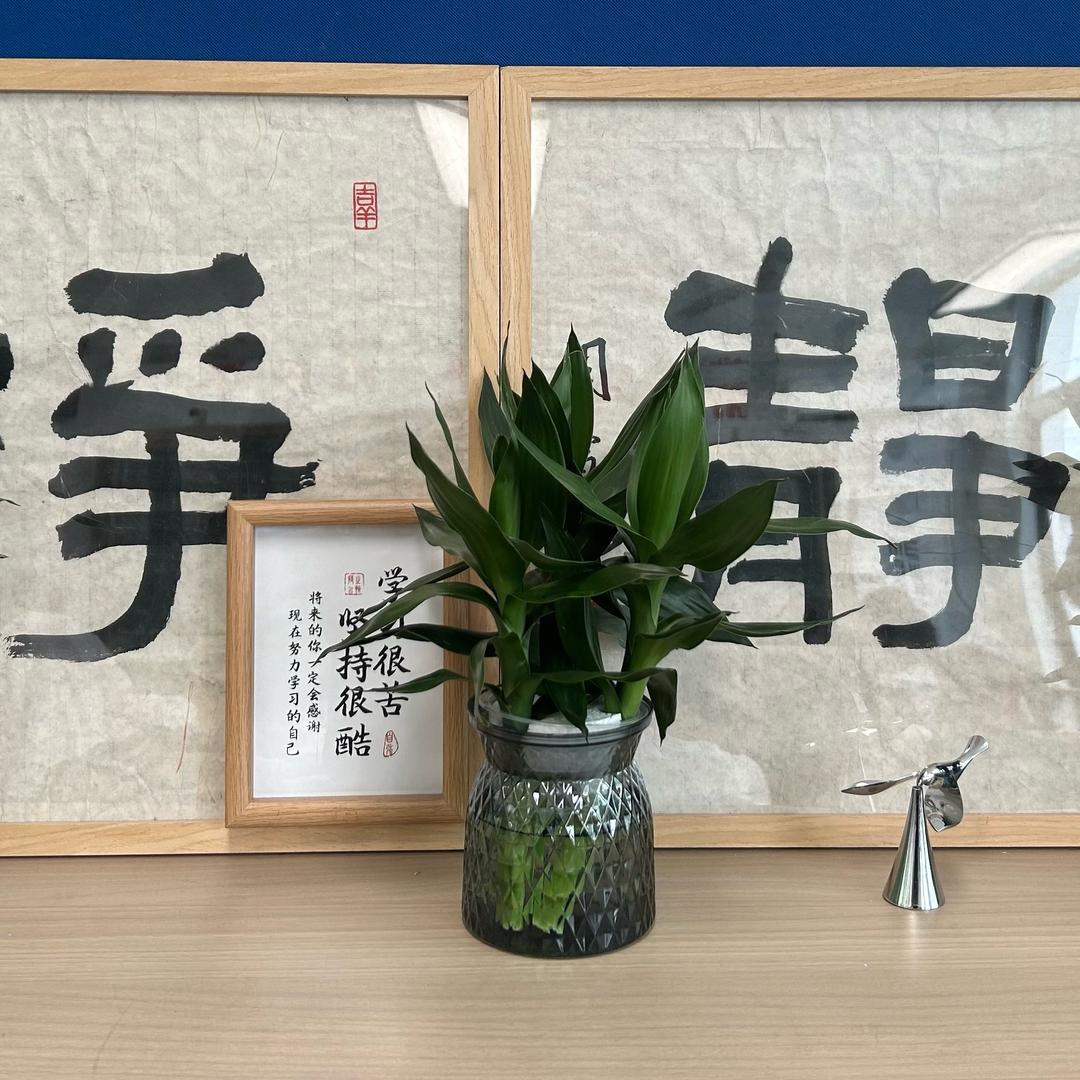 @乒乓
