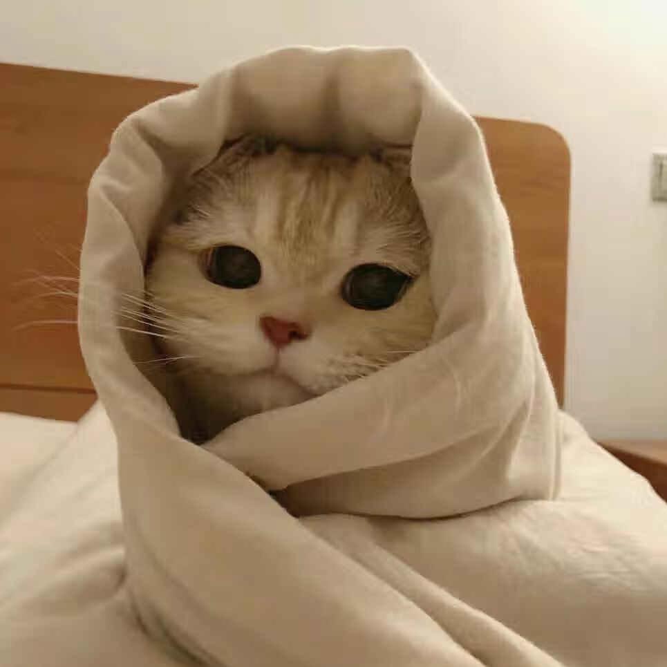 秋头像