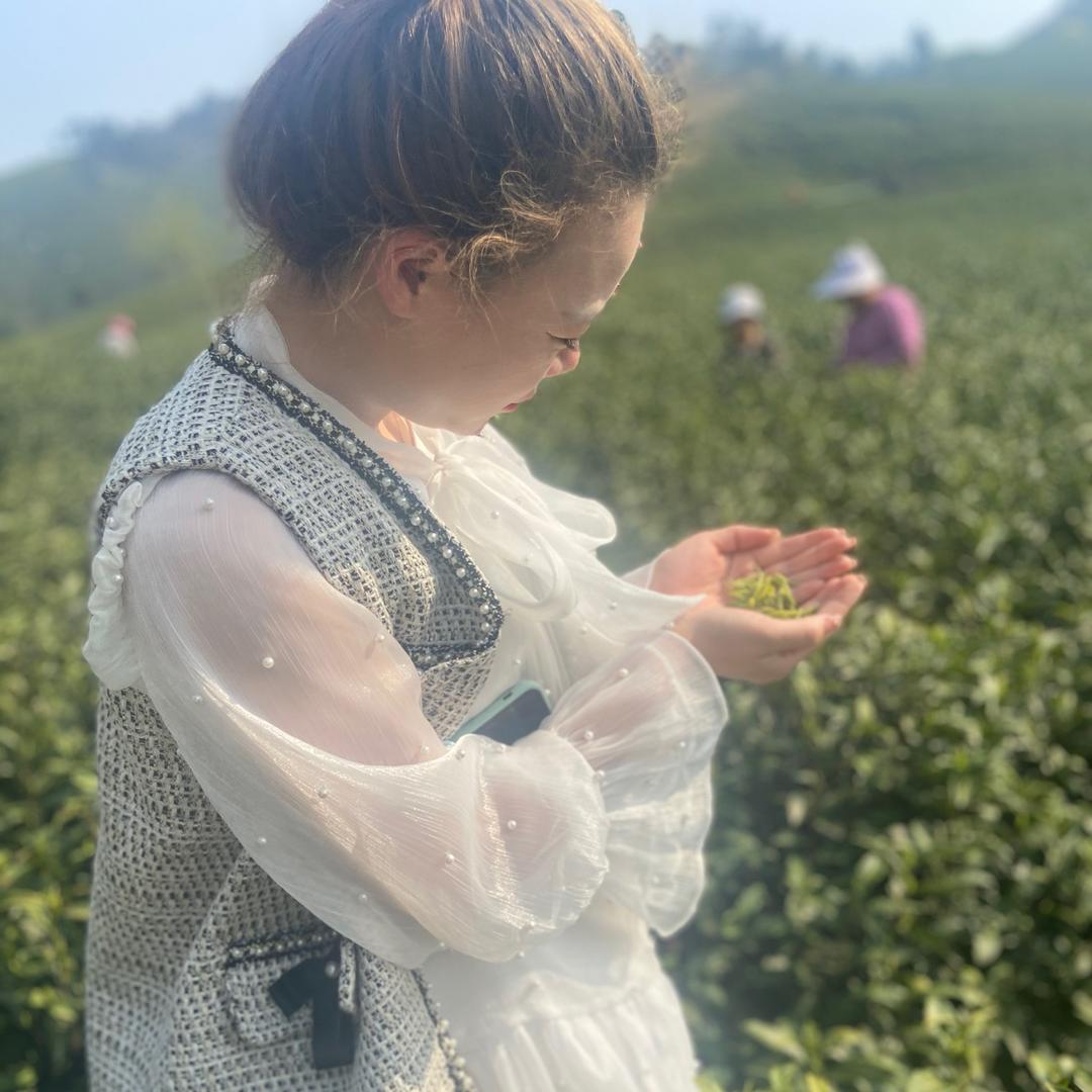 潇潇茶叶