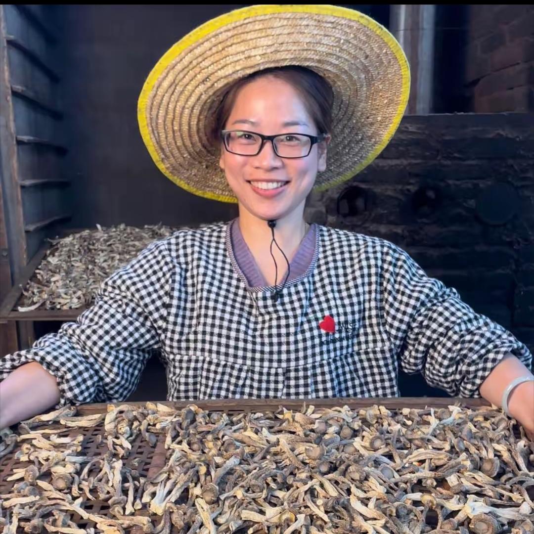 小秋鹿茸菇原产地