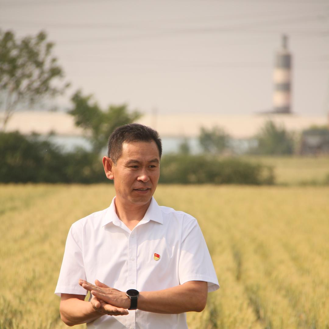 梨乡莱阳兵支书