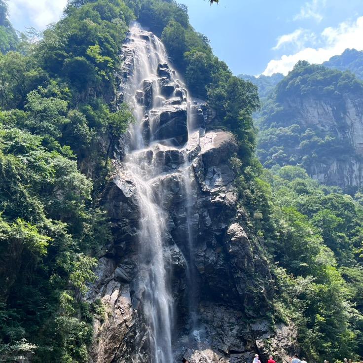 豐yi