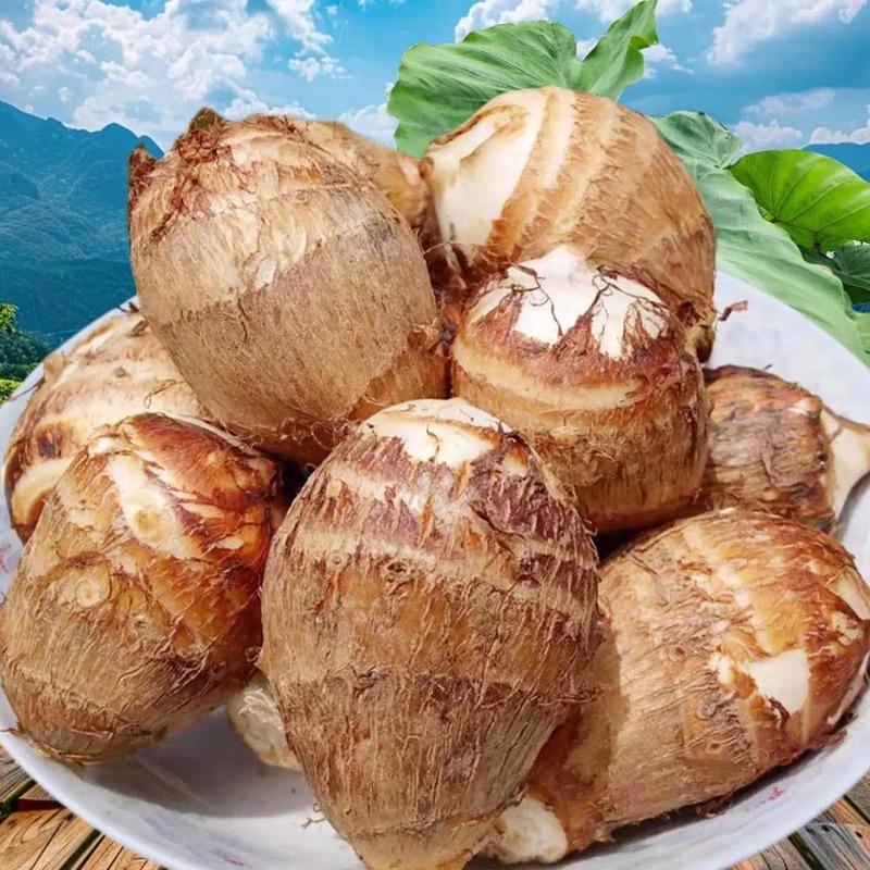 我爱兰花
