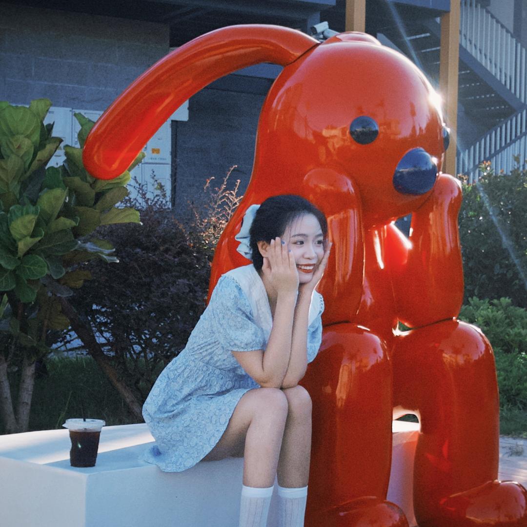 流浪小猫🐈