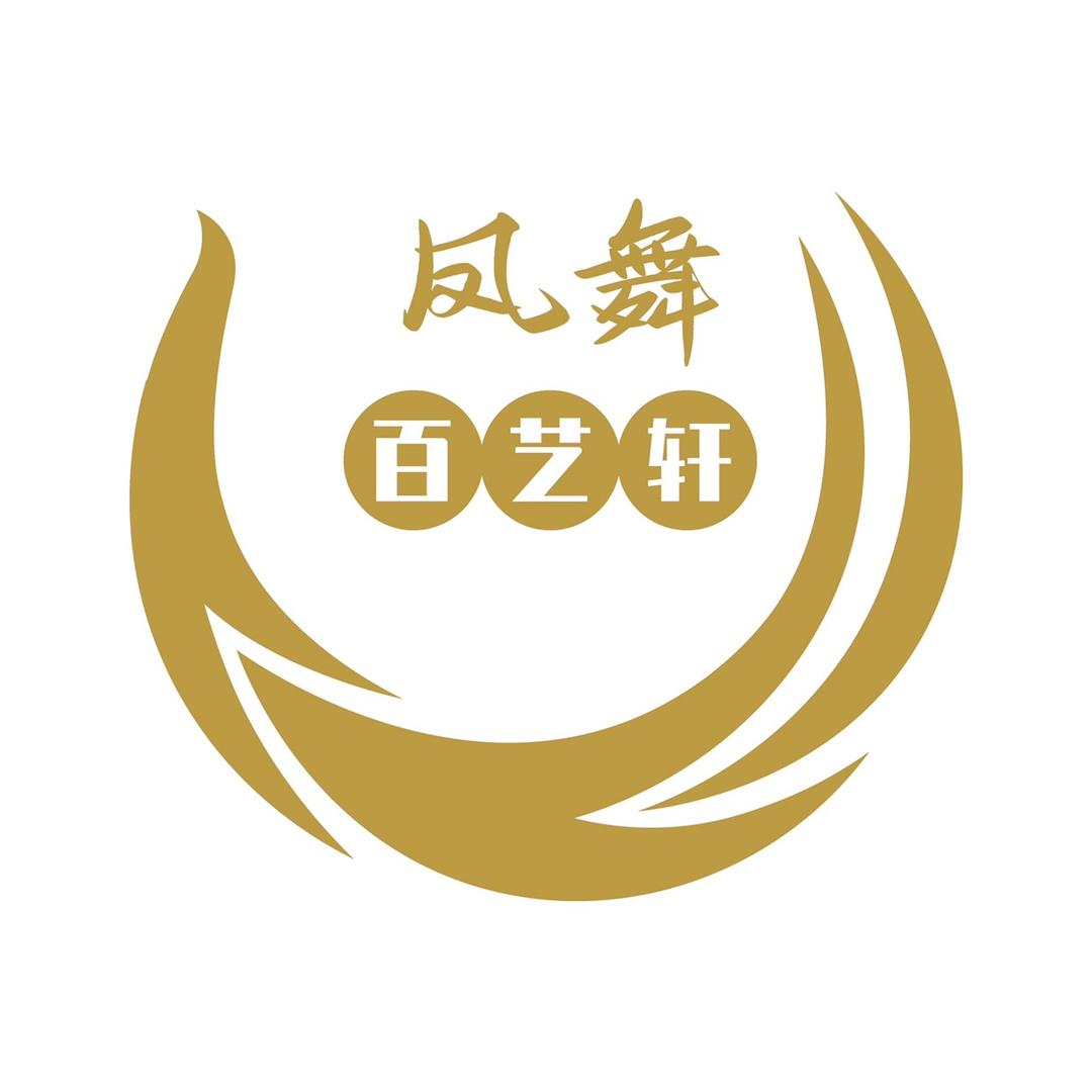 凤舞舞蹈用品
