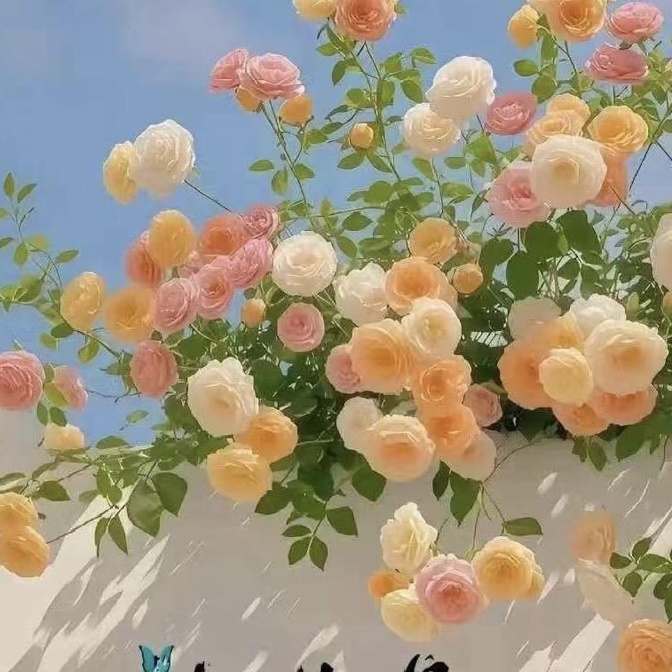 莫奈鲜花工作室