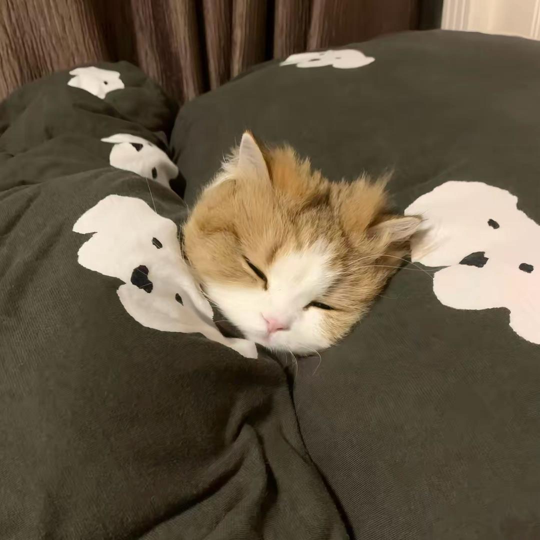 脉脉