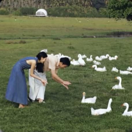 你是个蛋啊🥚