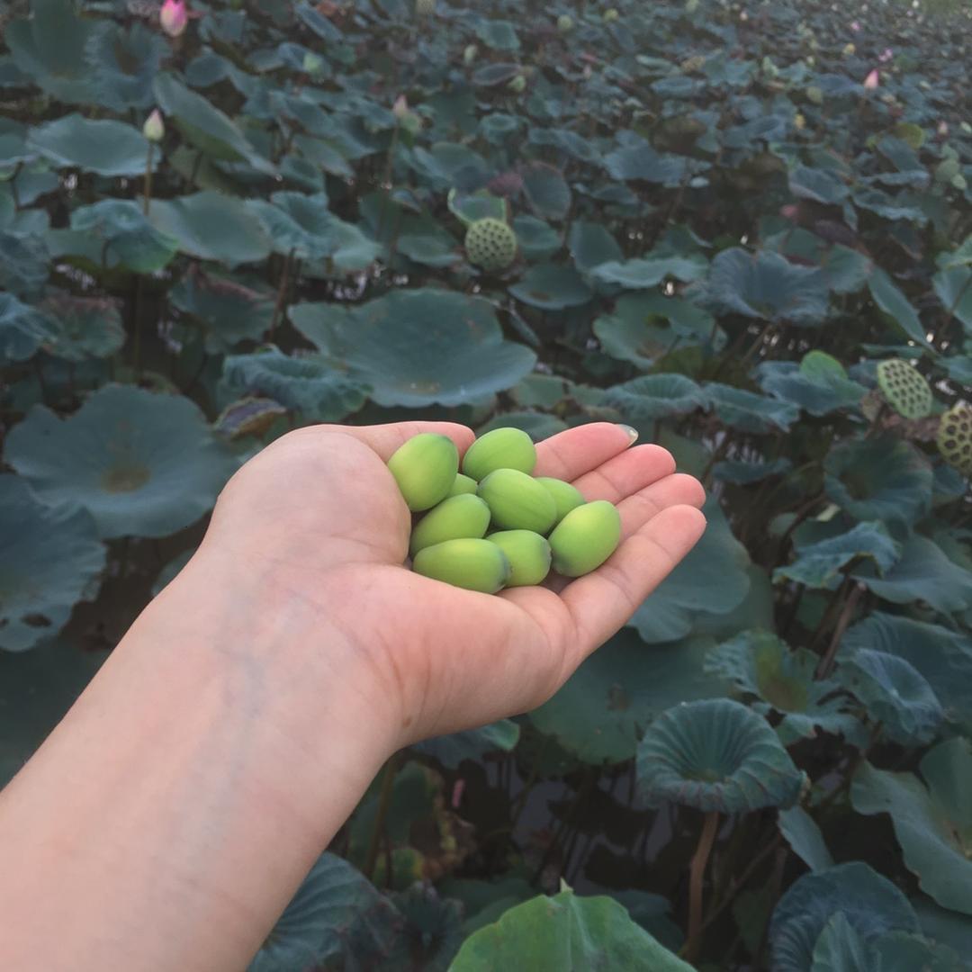 糖果🍬🍬🍬