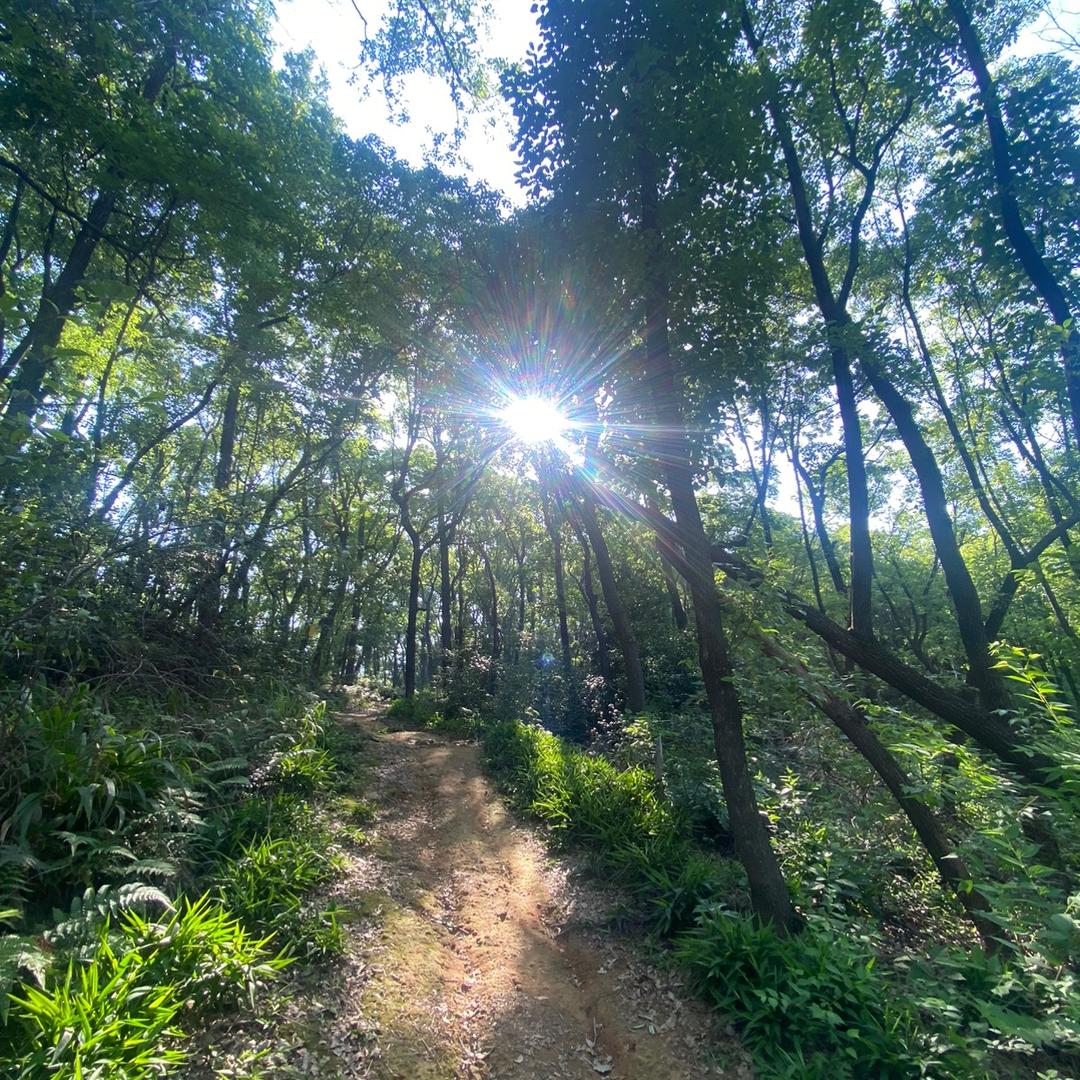 数码回收一站式