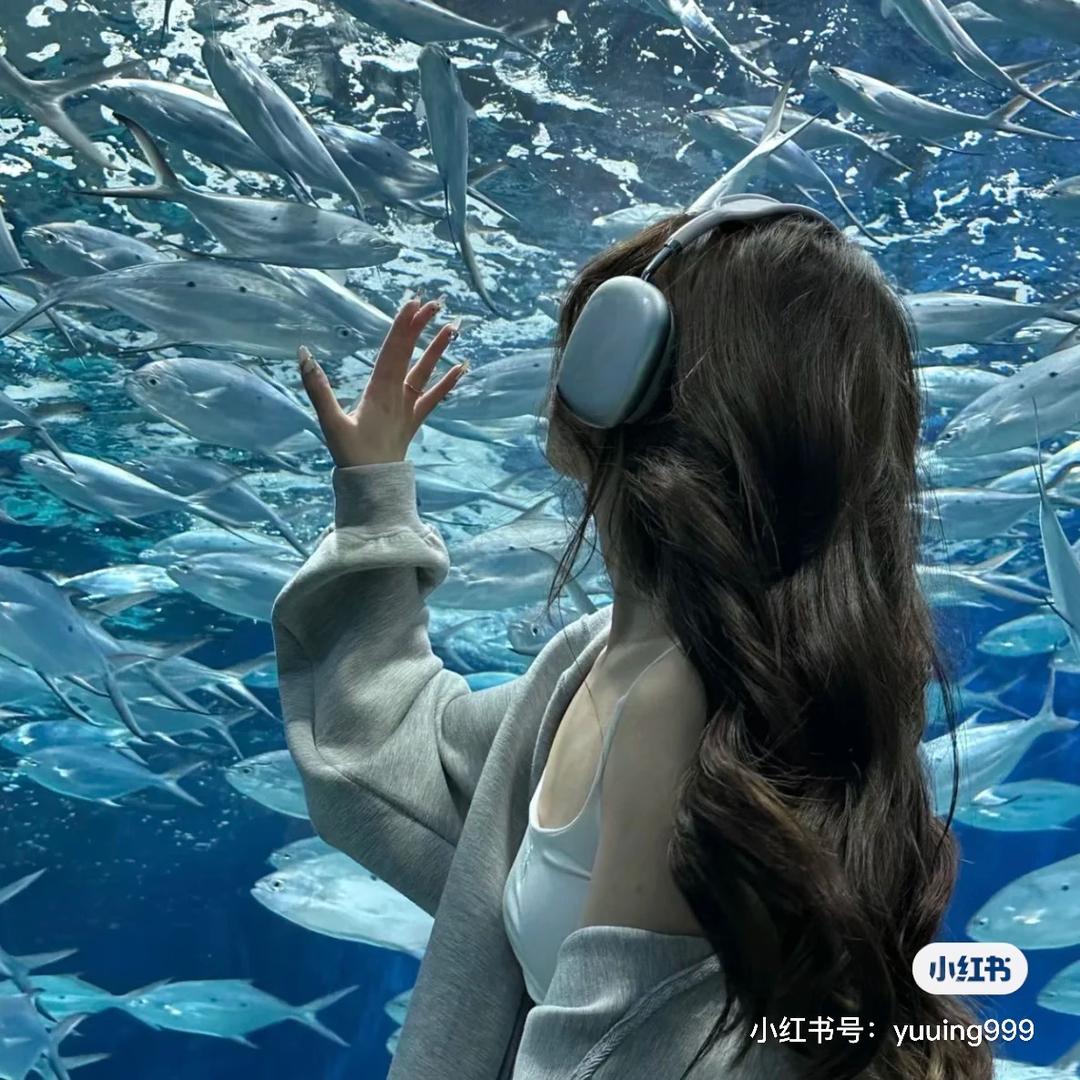 小鱼困困🐟（助眠版）