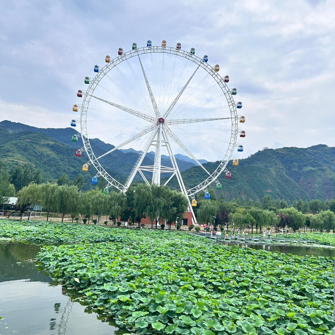 🦋ꦿ໊余生᭄🕊随心᭄