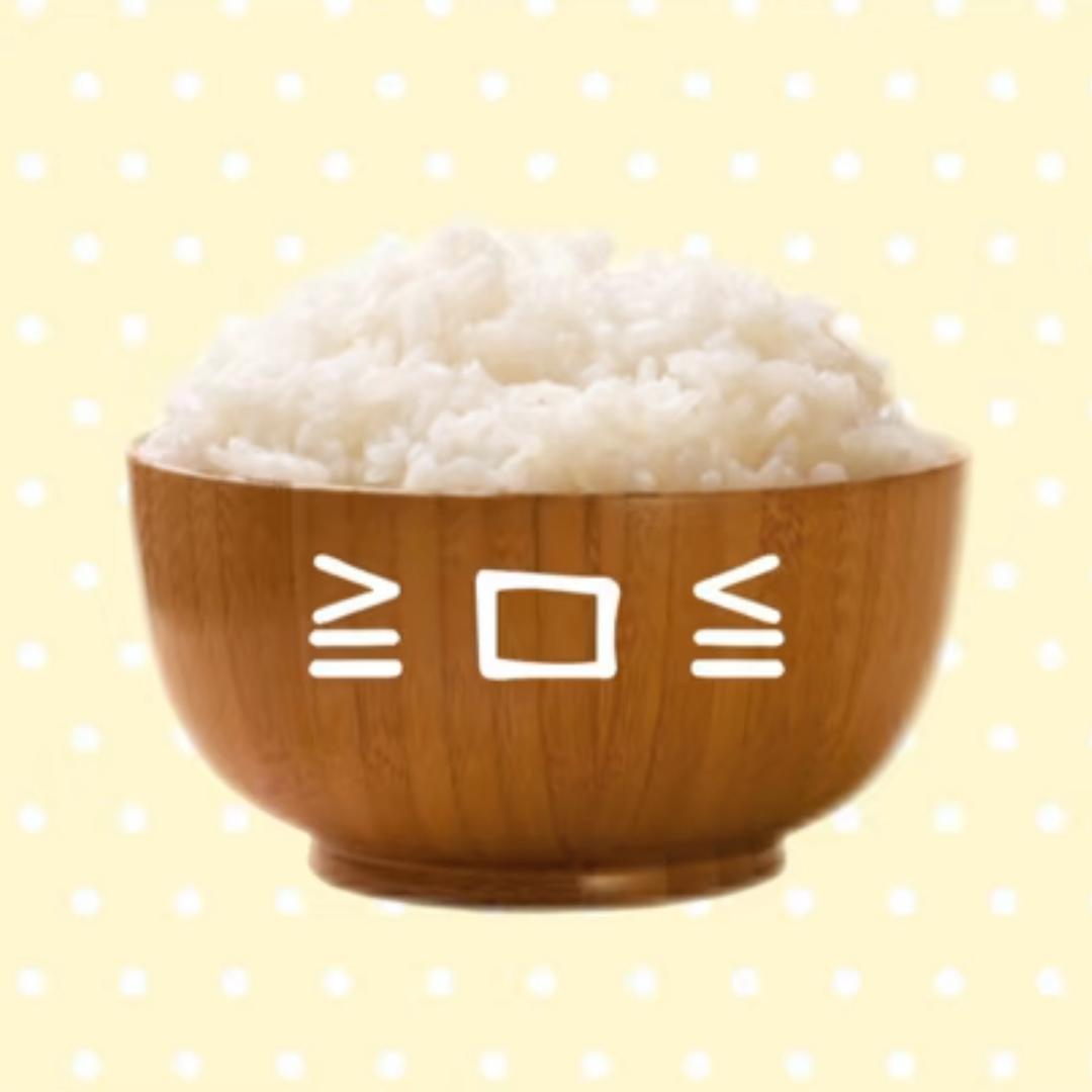 主播小号（回关按排）