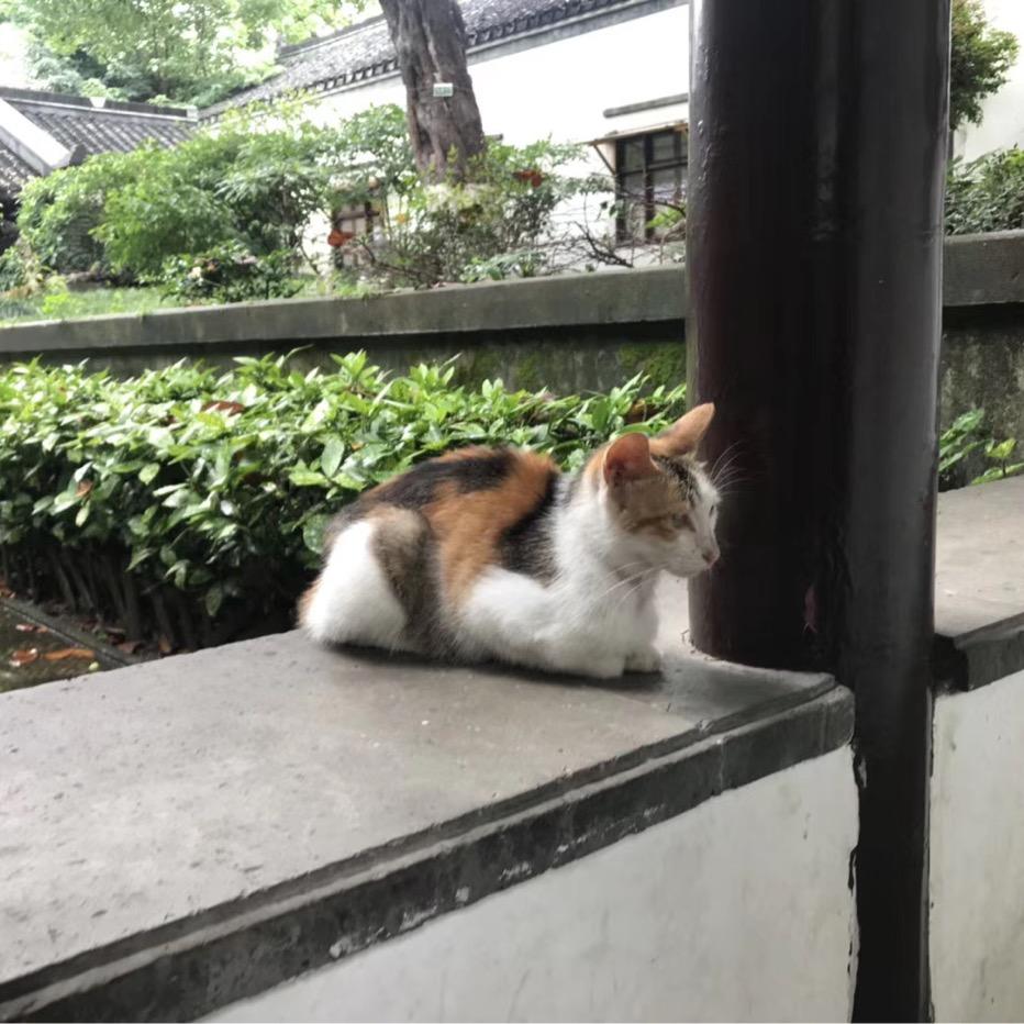 别怕,有我在!