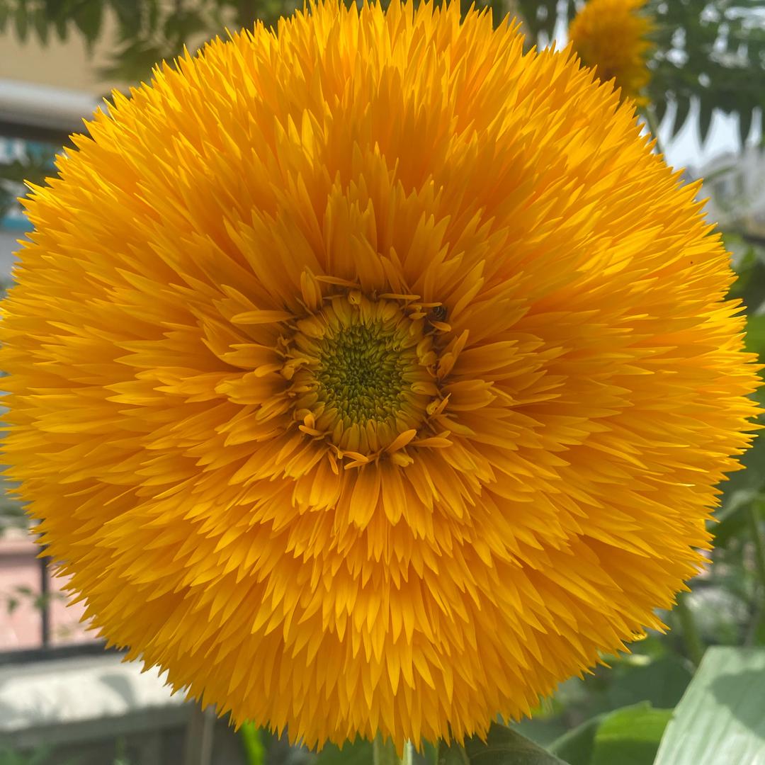 你我他