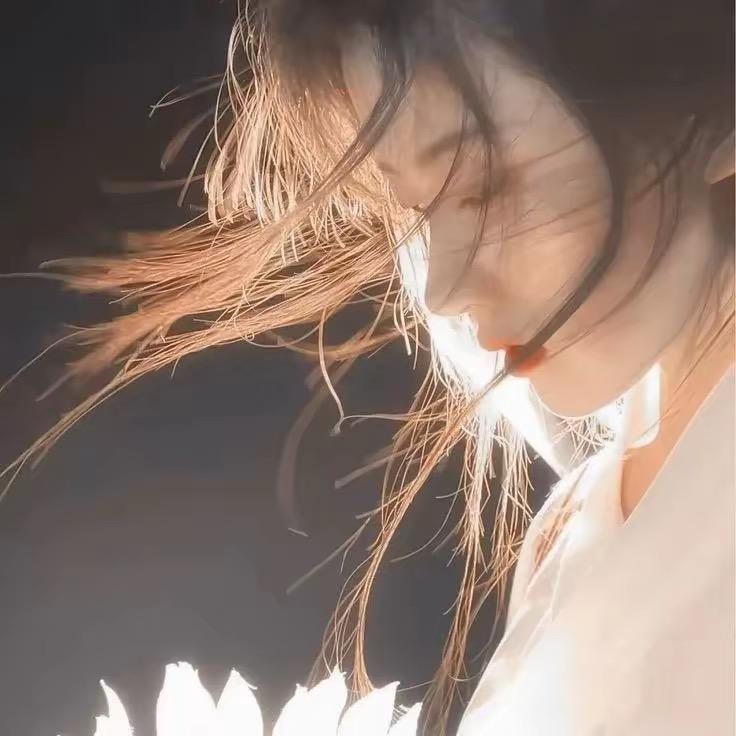 胡萝卜🥕