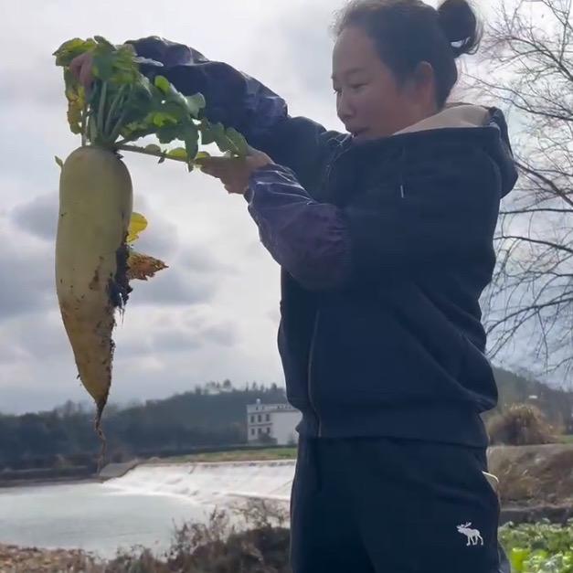老王家山货