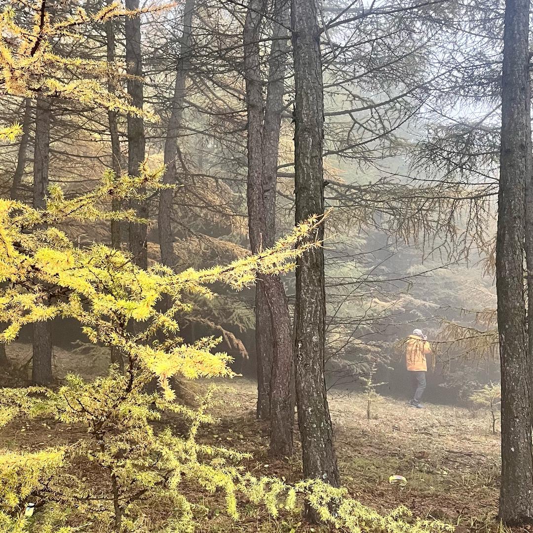 摄影师娟子（崇礼旅拍）