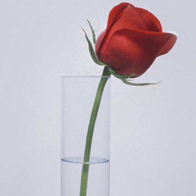 纤指飞扬粘土手工