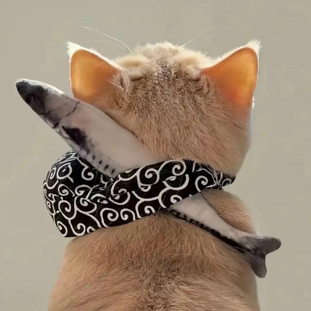 河