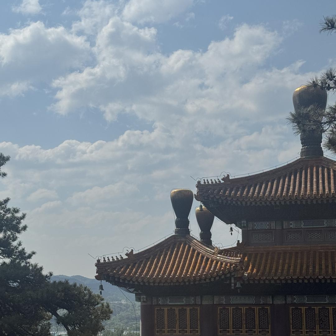 椿景明商贸综合好物店