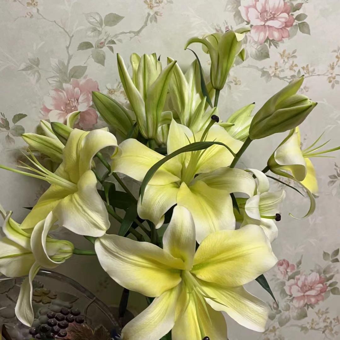 老王茗虫的三宝雅趣阁