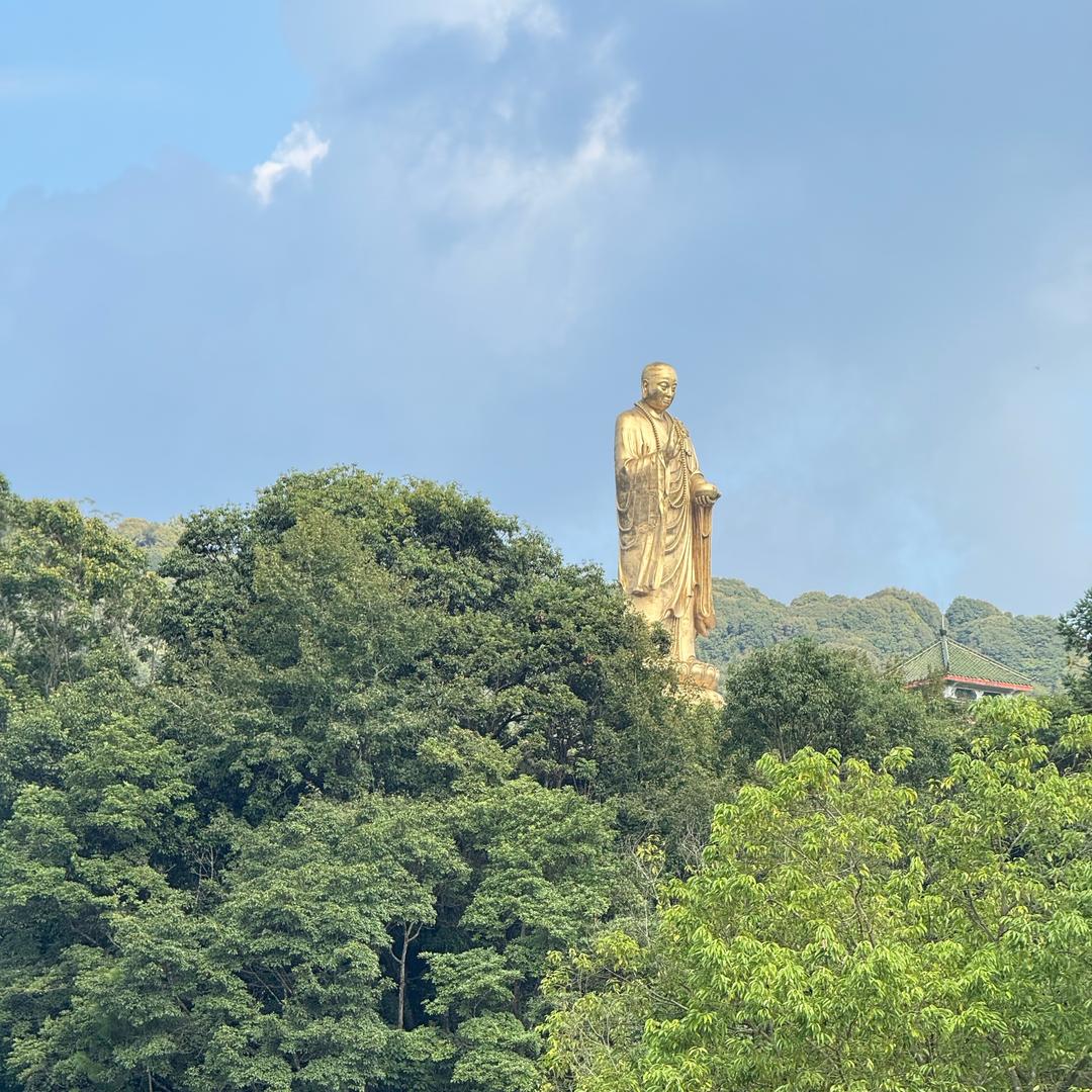 广东大包