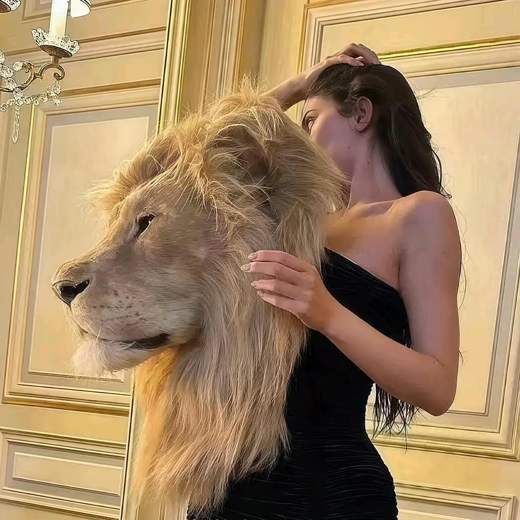 贝贝吖
