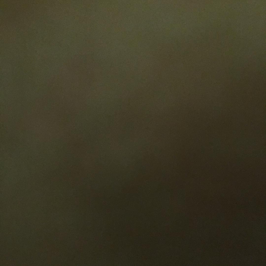 阿拉蕾