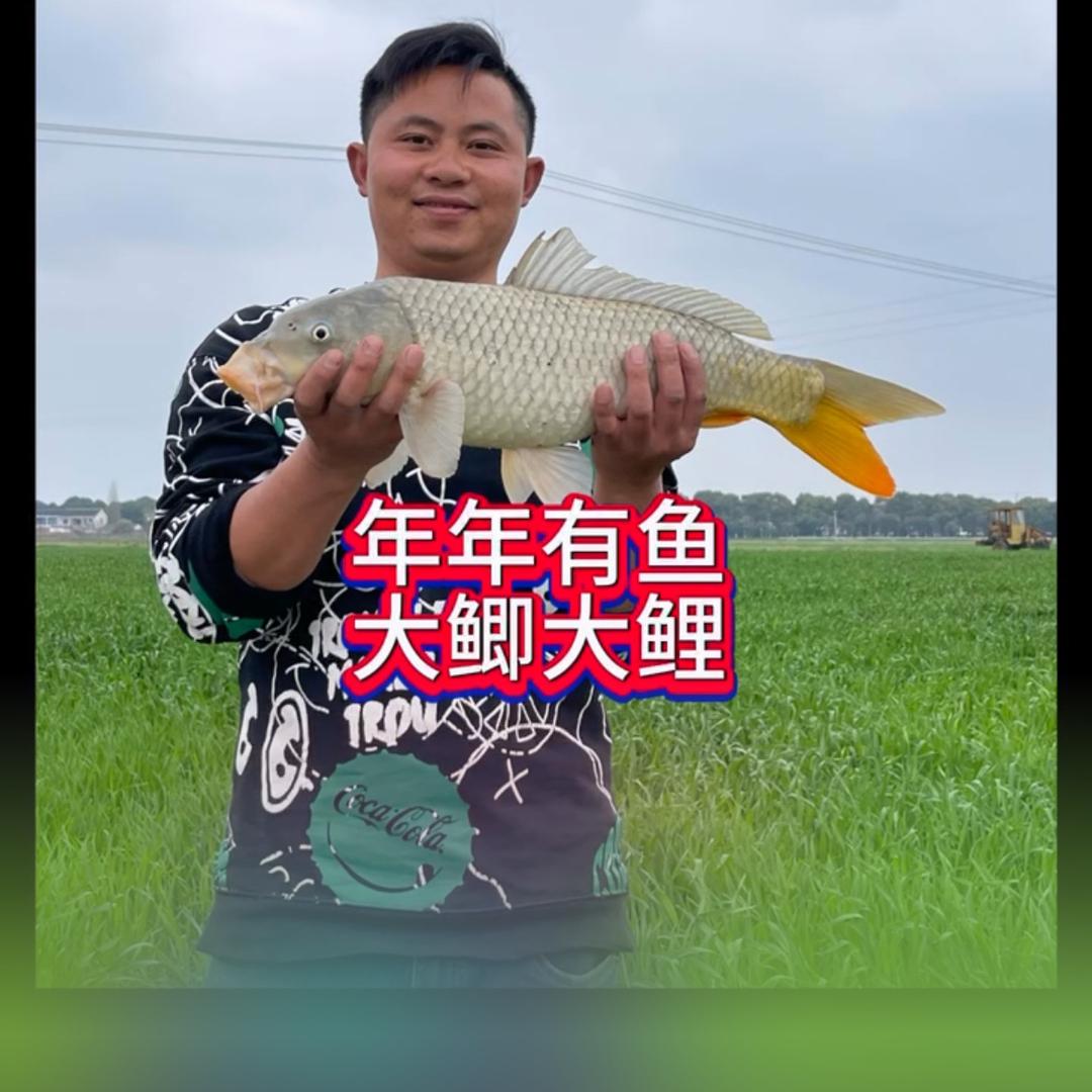 龙大伟🎣