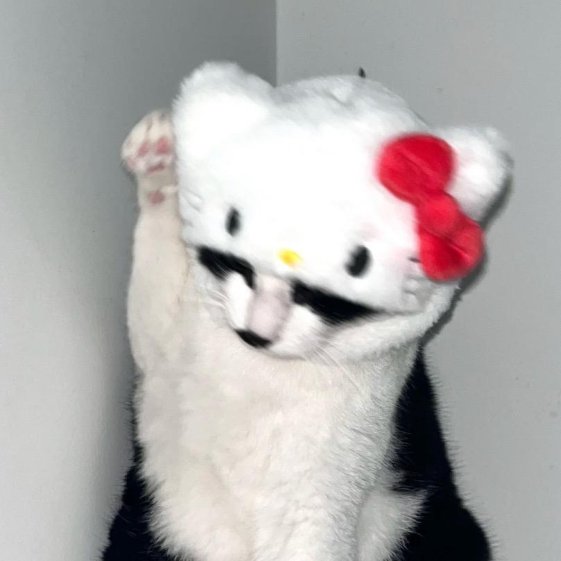 是琪不是7
