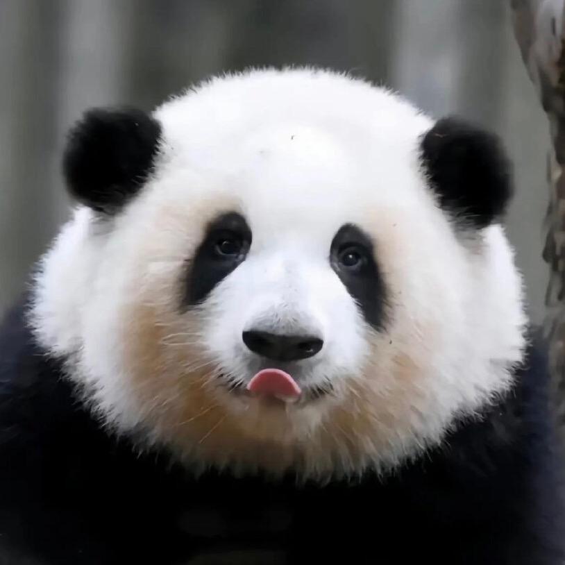 万万万