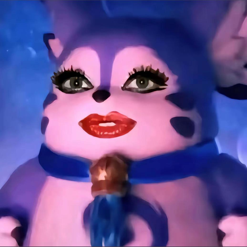 长胖的猫好物分享