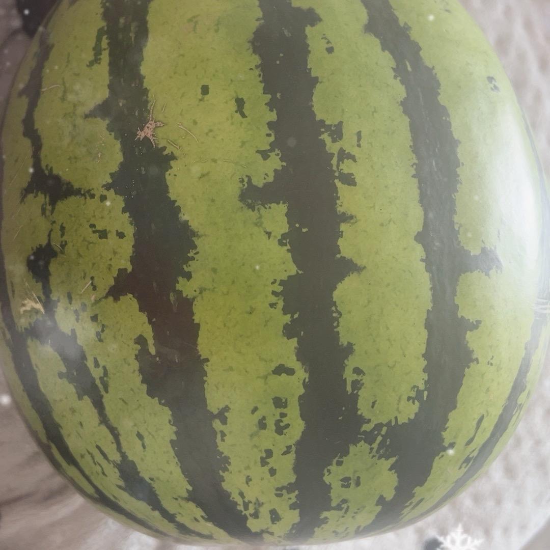 大西瓜