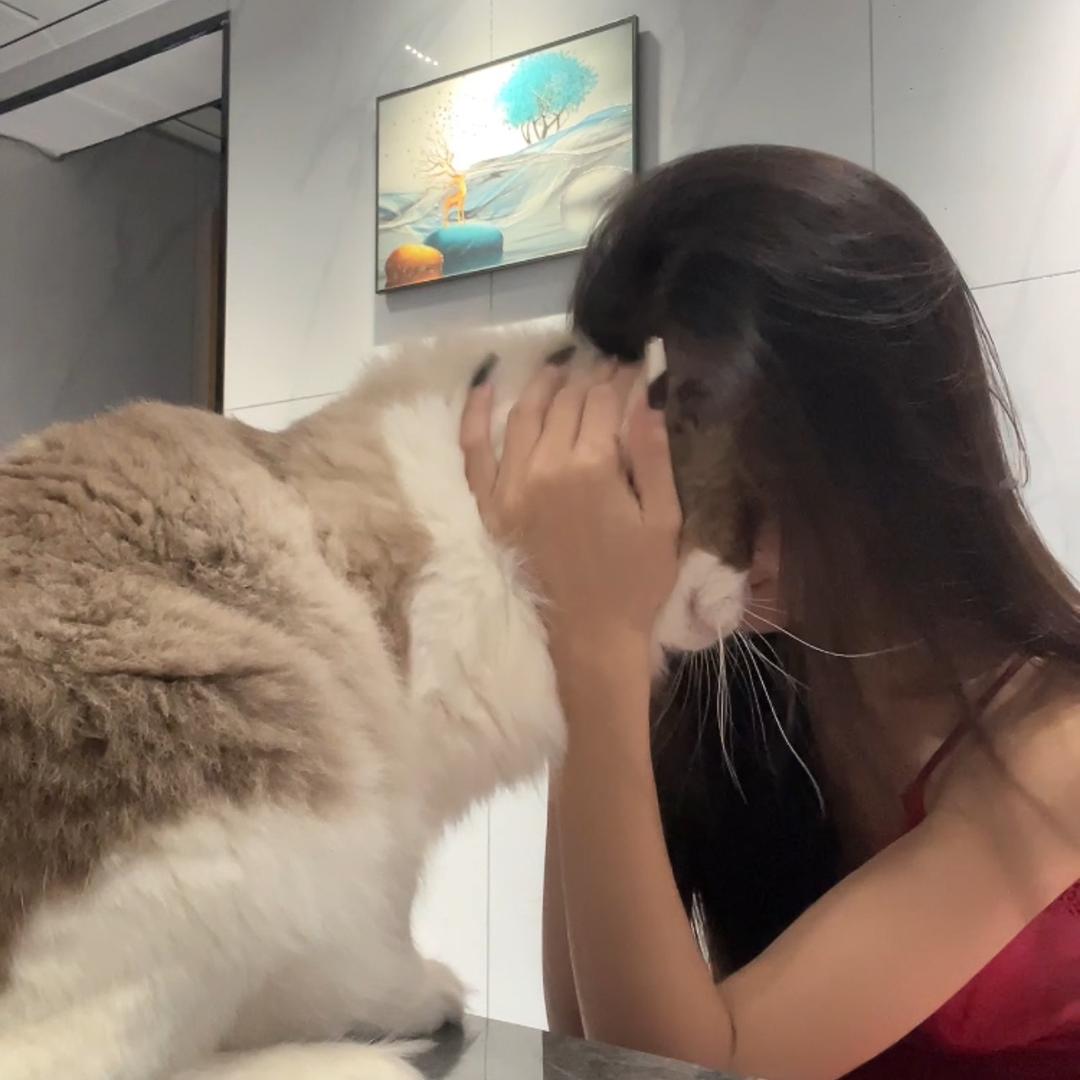 🍼。