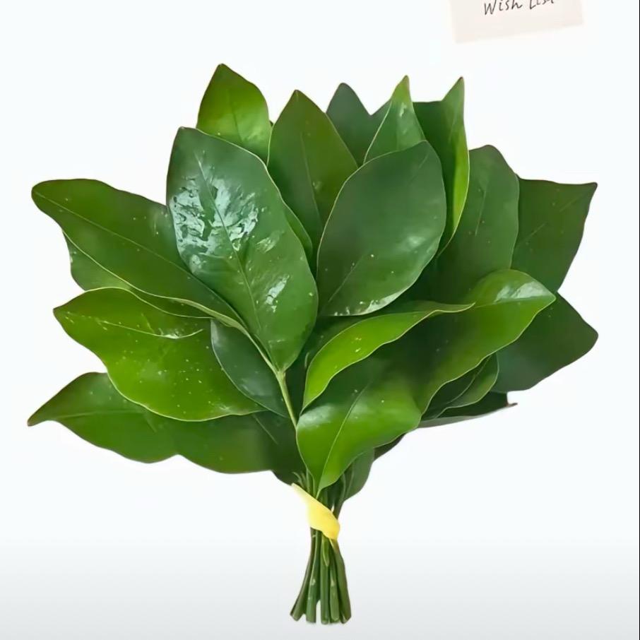 出了名的坏脾气.