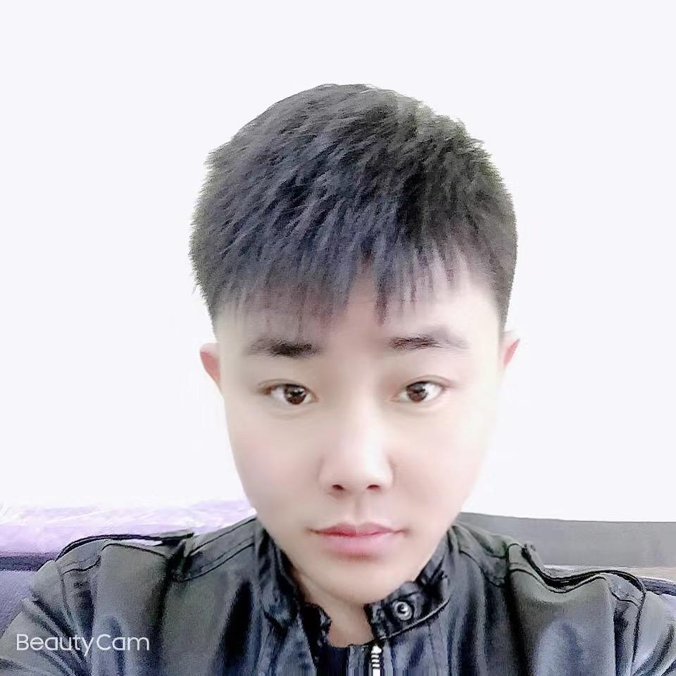 空城离歌