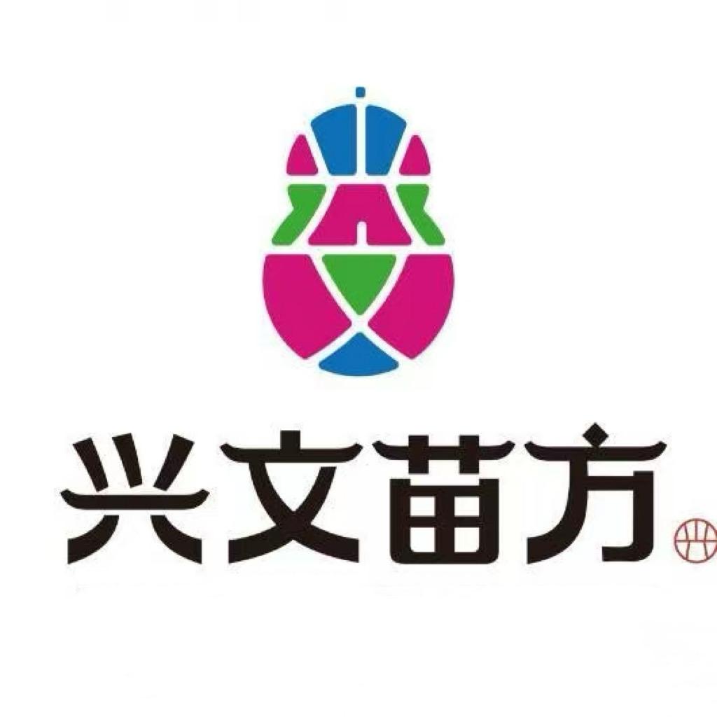 兴文苗方