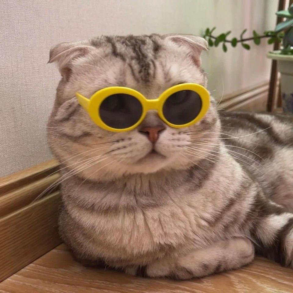 汤圈圈