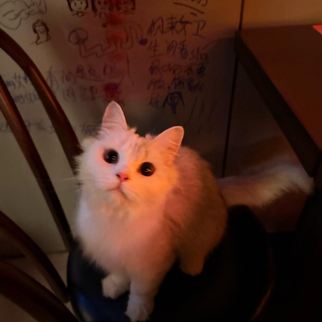 嗯……😐