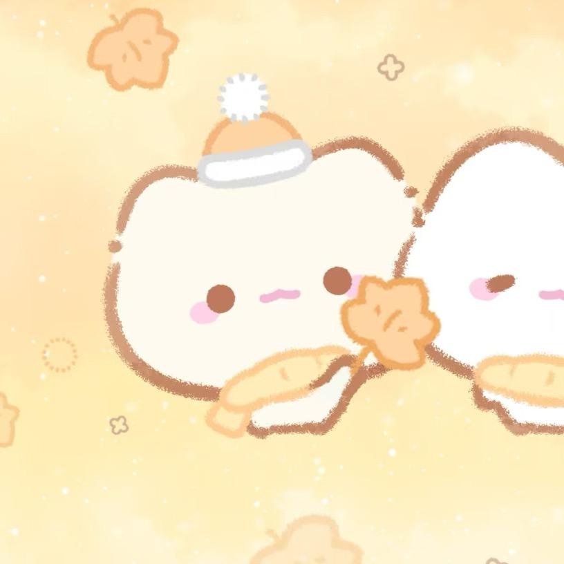 是小杨不是小羊