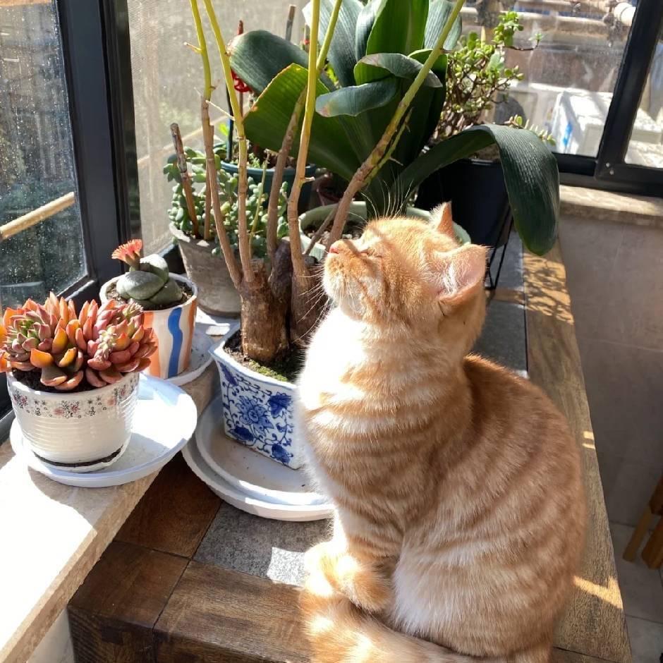肆拾玖.