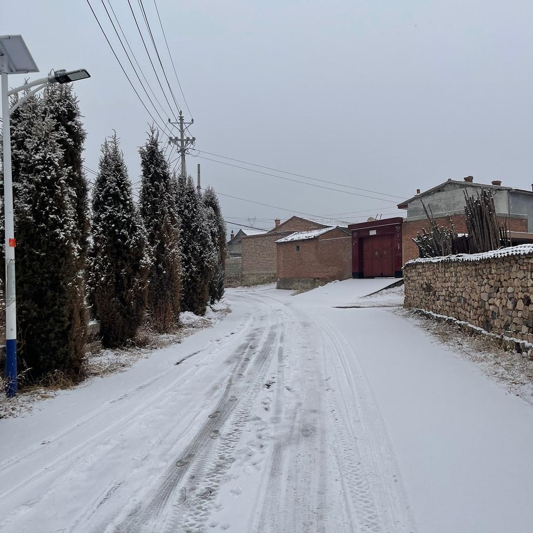 大宏(14点00首播)