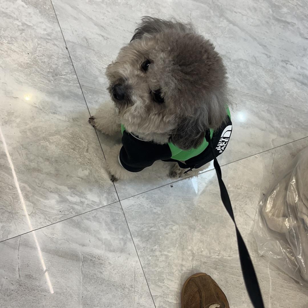 哪尼
