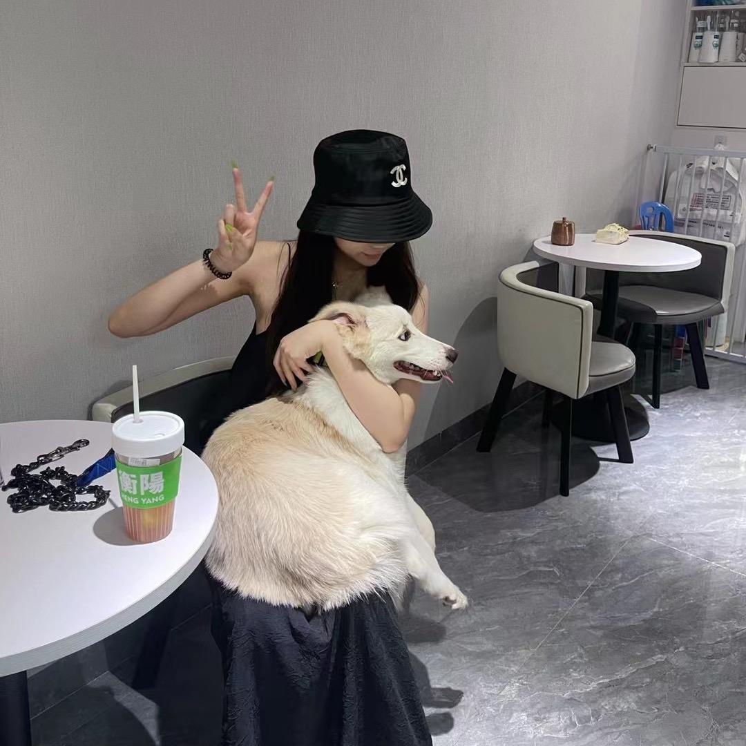 粉红拔丝兔🐰