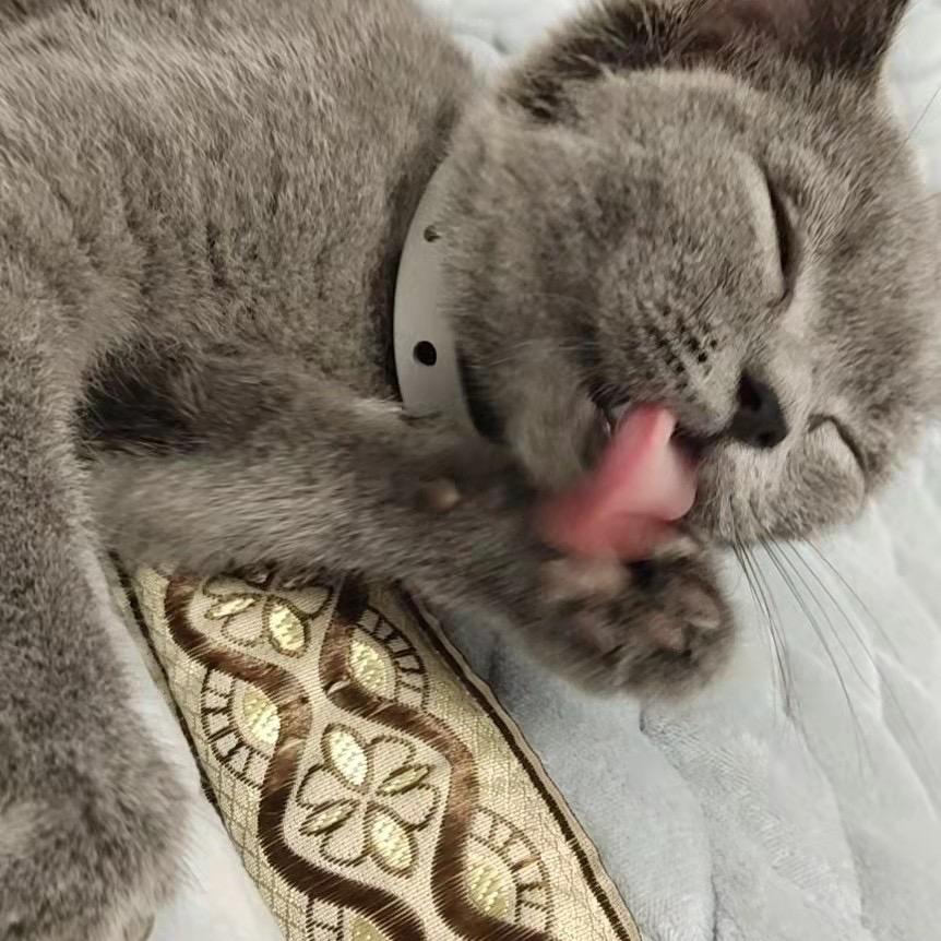 顺风小王子