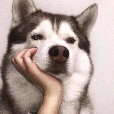 禅游老九